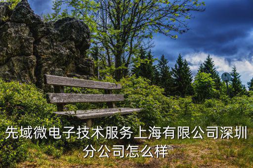 先域微電子技術服務上海有限公司深圳分公司怎么樣