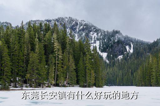 東莞長安鎮有什么好玩的地方