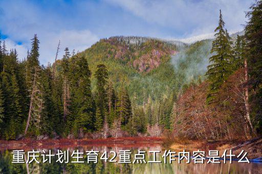 重慶計劃生育42重點工作內容是什么