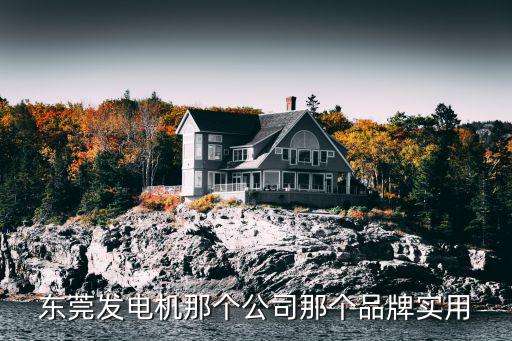 東莞發電機那個公司那個品牌實用