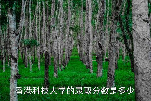 香港科技大學的錄取分數是多少
