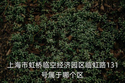 上海市虹橋臨空經(jīng)濟園區(qū)臨虹路131號屬于哪個區(qū)