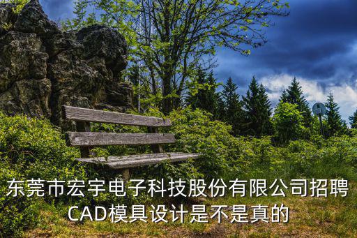 東莞市宏宇電子科技股份有限公司招聘CAD模具設(shè)計(jì)是不是真的