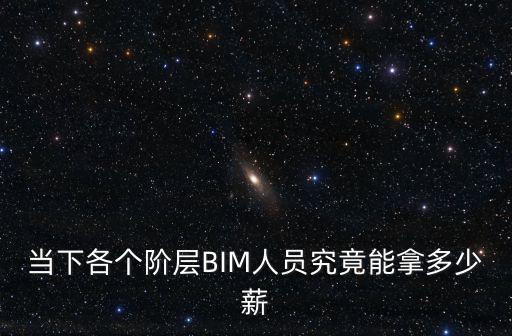 當下各個階層BIM人員究竟能拿多少薪