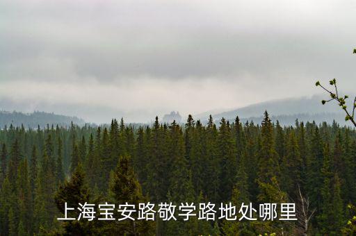 上海寶安路敬學路地處哪里