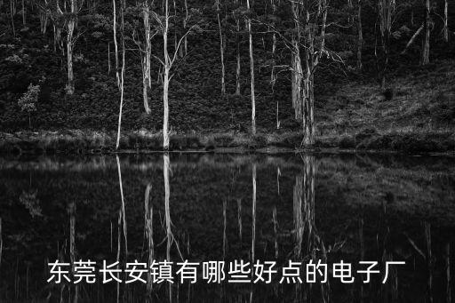 東莞長安鎮(zhèn)有哪些好點(diǎn)的電子廠