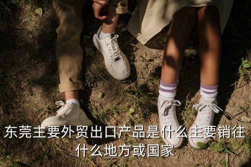 東莞主要外貿(mào)出口產(chǎn)品是什么主要銷往什么地方或國(guó)家