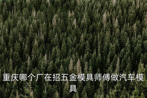 重慶市汽車覆蓋模具移交招聘，我在重慶巴南區通過什么途徑找模具方面的工作比較好