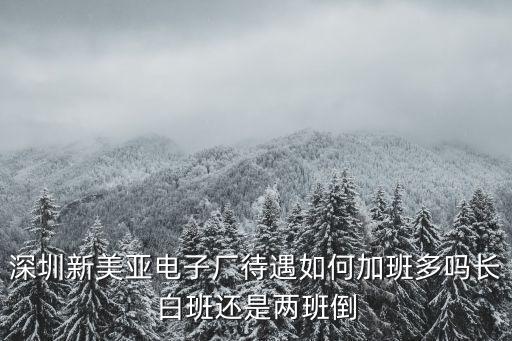 新美亞電子深圳有限公司幾號發工資，無錫新美亞幾號發工資