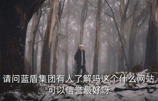 深圳市藍盾實業有限公司，請問藍盾集團有人了解嗎這個什么網站可以信譽最好呀