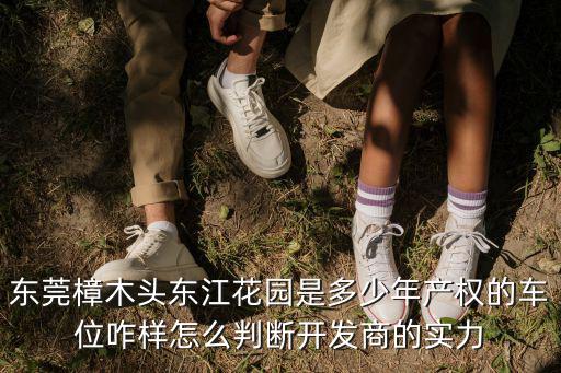 東莞樟木頭東江花園是多少年產(chǎn)權(quán)的車位咋樣怎么判斷開發(fā)商的實力