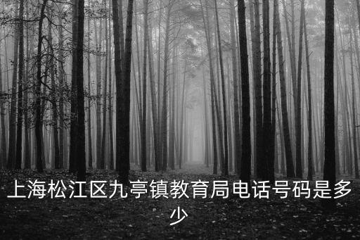 上海松江區(qū)九亭鎮(zhèn)教育局電話號碼是多少