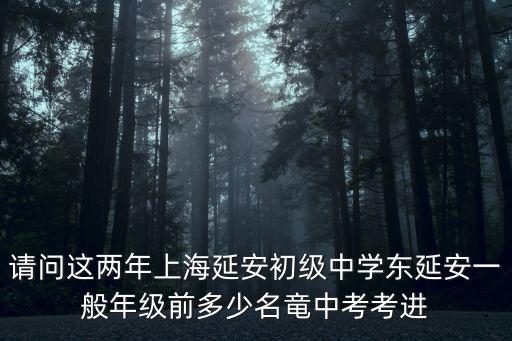 請問這兩年上海延安初級中學東延安一般年級前多少名竜中考考進