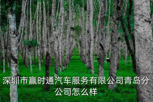 深圳市贏時，深圳市贏時通汽車服務有限公司杭州分公司怎么樣