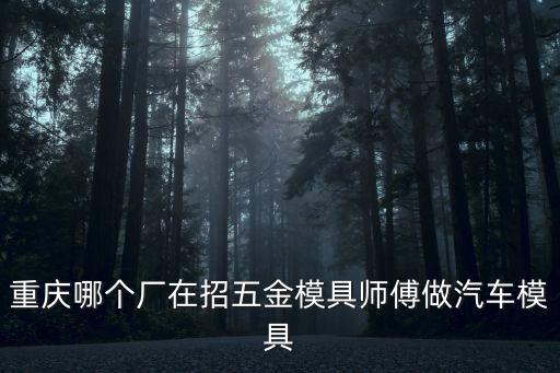 重慶哪個廠在招五金模具師傅做汽車模具