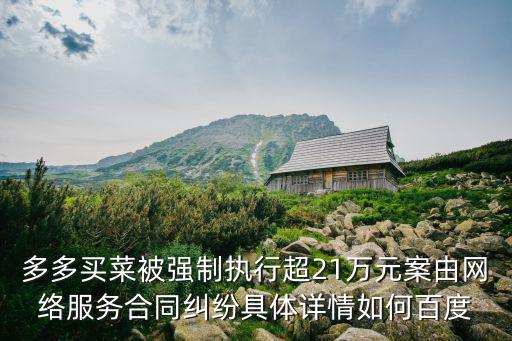 多多買菜被強(qiáng)制執(zhí)行超21萬元案由網(wǎng)絡(luò)服務(wù)合同糾紛具體詳情如何百度