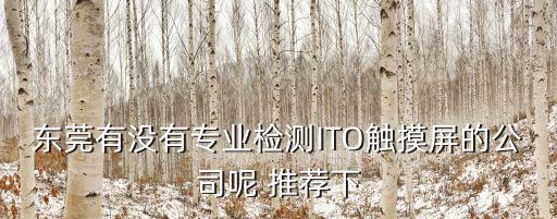 東莞有沒(méi)有專業(yè)檢測(cè)ITO觸摸屏的公司呢 推薦下