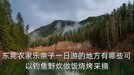 東莞農(nóng)家樂親子一日游的地方有哪些可以釣魚野炊做飯燒烤采摘