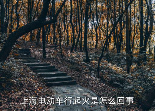 上海電動車行起火是怎么回事