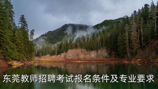 東莞教師招聘考試報(bào)名條件及專業(yè)要求
