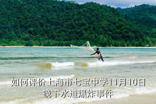 如何評價上海市七寶中學11月10日晚下水道爆炸事件