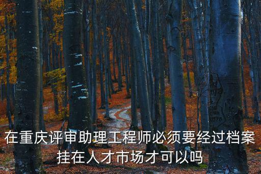 在重慶評(píng)審助理工程師必須要經(jīng)過(guò)檔案掛在人才市場(chǎng)才可以嗎