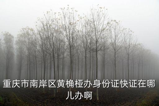 重慶市南岸區(qū)身份證，重慶南岸的身份證加急在哪辦理