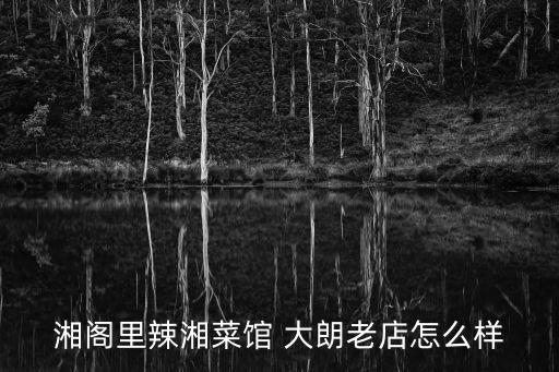 湘閣里辣湘菜館 大朗老店怎么樣