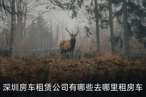 深圳房車租賃公司有哪些去哪里租房車