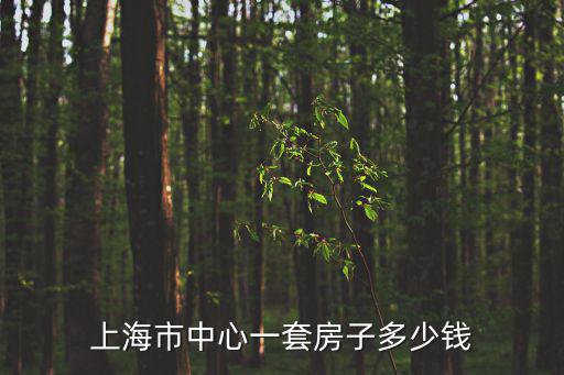 上海市中心一套房子多少錢