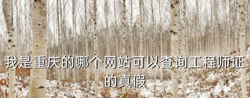 我是重慶的哪個(gè)網(wǎng)站可以查詢工程師證的真假