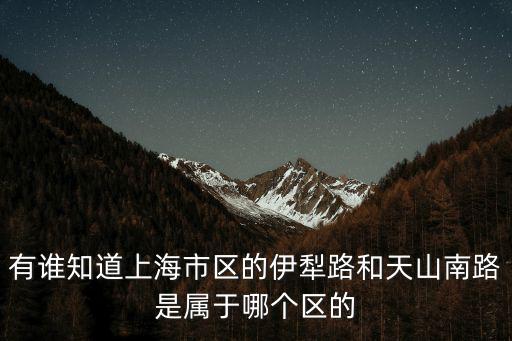 有誰知道上海市區的伊犁路和天山南路是屬于哪個區的