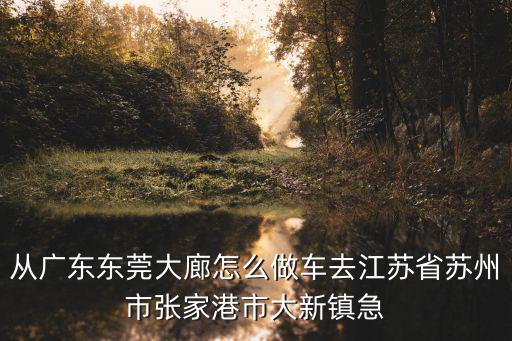 從廣東東莞大廊怎么做車去江蘇省蘇州市張家港市大新鎮急