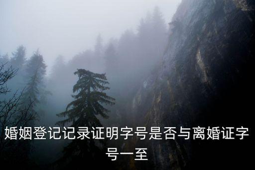 重慶市巴南區離婚證字號，婚姻登記記錄證明字號是否與離婚證字號一至