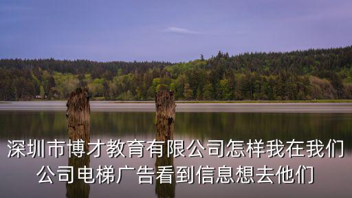 深圳博才教育集團，博才實驗小學屬于什么系什么集團