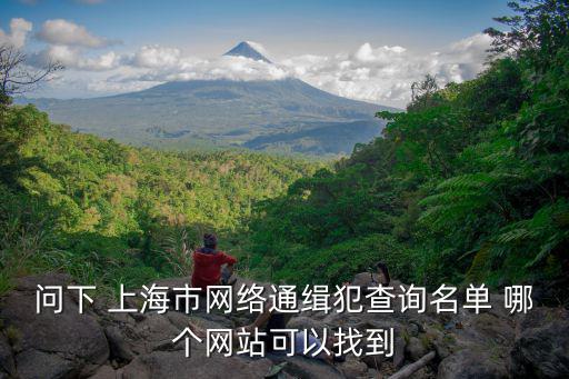 問下 上海市網絡通緝犯查詢名單 哪個網站可以找到