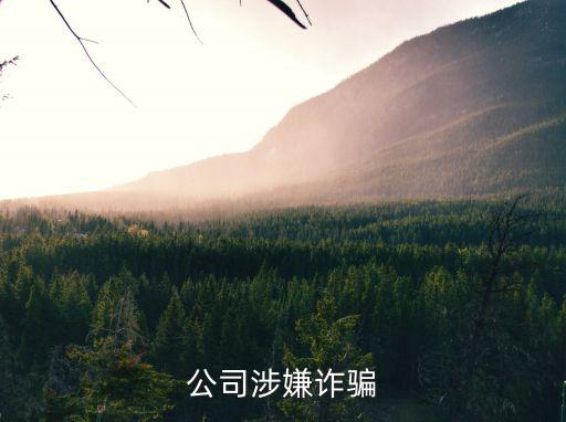 公司涉嫌詐騙