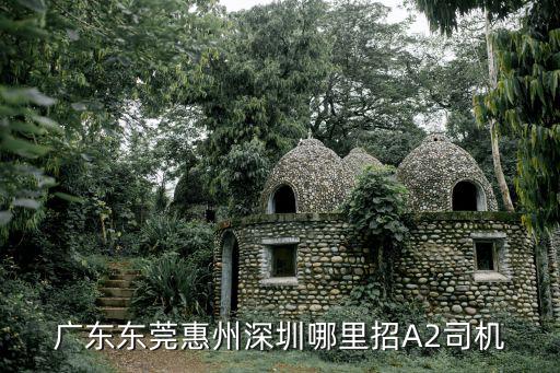 廣東東莞惠州深圳哪里招A2司機