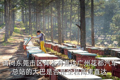 請問東莞市區有木有直達廣州花都汽車總站的大巴是否是全程高速直達