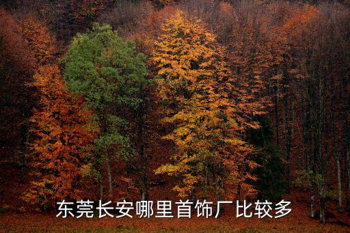 東莞長安哪里首飾廠比較多