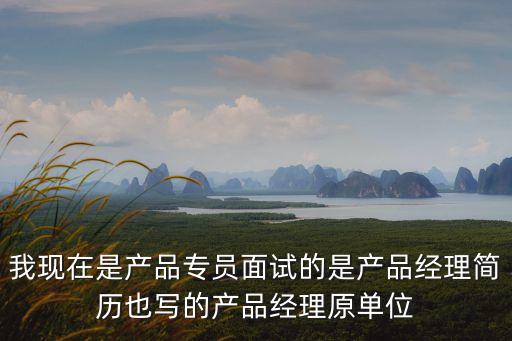 我現(xiàn)在是產(chǎn)品專員面試的是產(chǎn)品經(jīng)理簡歷也寫的產(chǎn)品經(jīng)理原單位