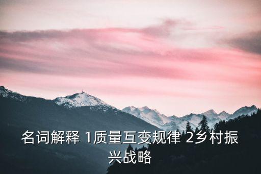 上海市振興鄉村戰略，名詞解釋 1質量互變規律 2鄉村振興戰略