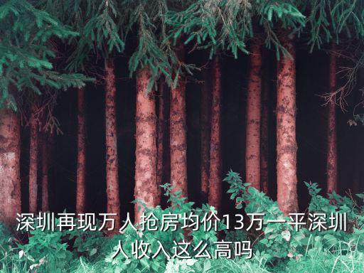 深圳再現萬人搶房均價13萬一平深圳人收入這么高嗎