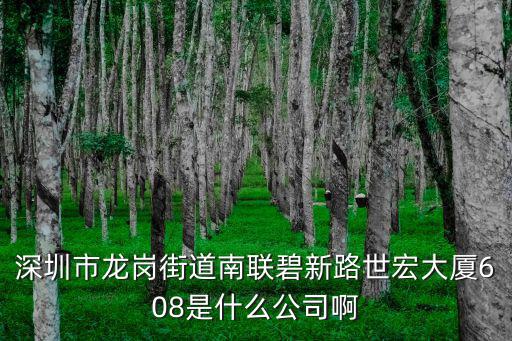 深圳市啟揚龍科技有限公司，深圳市龍崗街道南聯碧新路世宏大廈608是什么公司啊