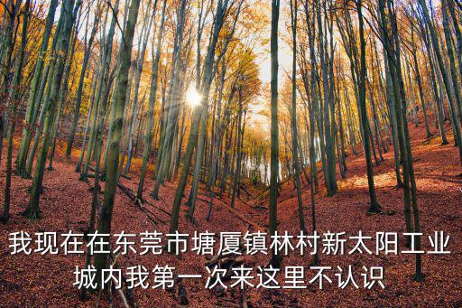 我現在在東莞市塘廈鎮林村新太陽工業城內我第一次來這里不認識