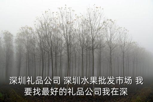 深圳百利來禮品實業公司，20屆深圳禮品展最大的經理夾萬用手冊廠家是哪家