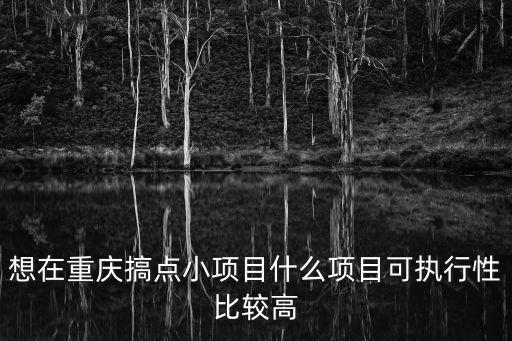 重慶市營商環境方案，前段時間重慶市公布了重慶市2016年重點項目名單名單里有合川北新