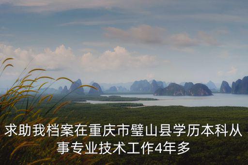 求助我檔案在重慶市璧山縣學歷本科從事專業技術工作4年多