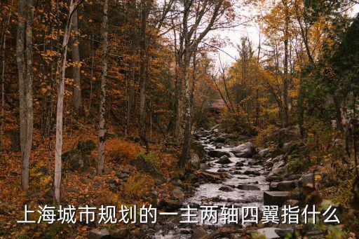 上海城市規劃的一主兩軸四翼指什么