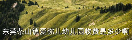 東莞茶山鎮愛彌兒幼兒園收費是多少啊